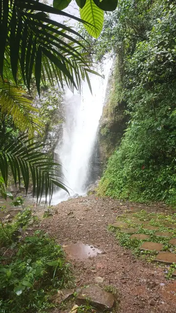 PNN Farallones: Cascada La Reina - 1