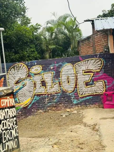 Tour Siloé Comuna 20: Arte, Historia y Miradores de la estrella galería 6